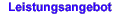Leistung