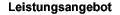 Leistung
