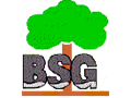 BSG